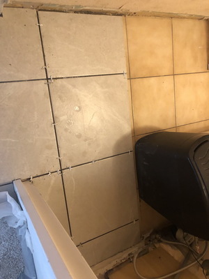 othis_0989.JPG