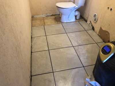 othis_0994.JPG