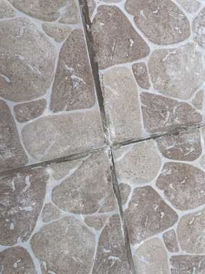othis_1044.JPG