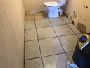 othis_0994.JPG