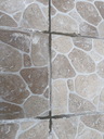 othis_1041.JPG