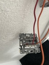 othis_1078.JPG