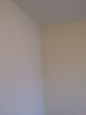 othis_0243.JPG