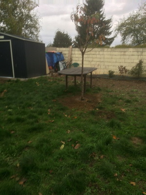 othis_0267.JPG
