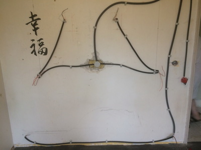 othis_0274.JPG