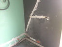othis_0213.JPG
