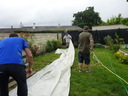 othis_0519.JPG