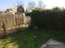 othis_0549.JPG