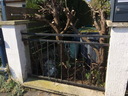 othis_0551.JPG