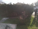 othis_0558.JPG