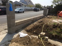 othis_0659.JPG