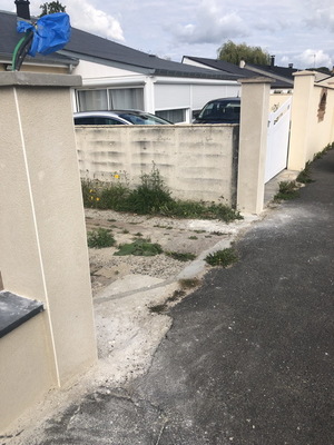othis_0709.JPG