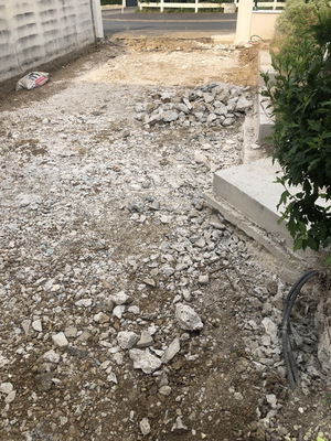 othis_0754.JPG