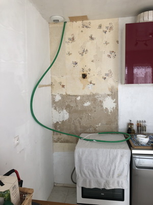 othis_0801.JPG