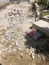 Filename=othis_0752.JPG
Filesize=187KiB
Dimensions=450x600
Date added=Jun 09, 2025 othis_0752.JPG