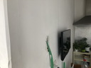 othis_0777.JPG