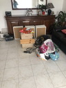 othis_0780.JPG