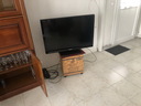othis_0782.JPG