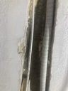 othis_0785.JPG