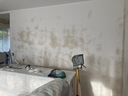 othis_0858.JPG