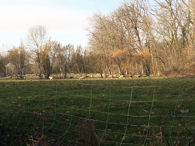 sallesadour_202302_025.JPG
