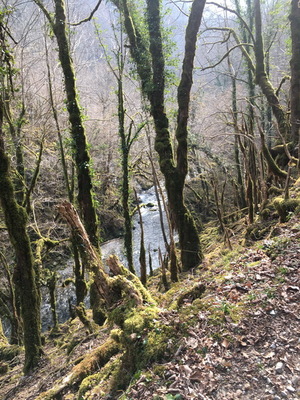 sallesadour_202302_045.JPG