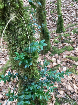 sallesadour_202302_056.JPG