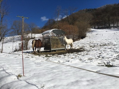 sallesadour_202302_120.JPG