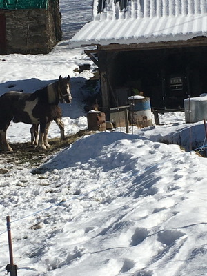 sallesadour_202302_131.JPG