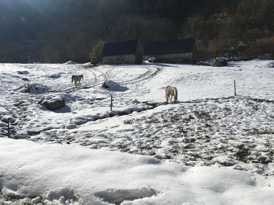 sallesadour_202302_132.JPG