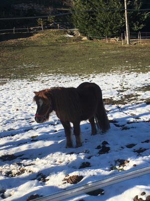 sallesadour_202302_151.JPG