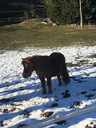 sallesadour_202302_151.JPG